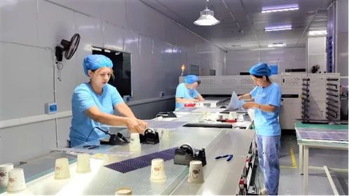 疏勒縣新能源產品閃耀喀交會 20余款創新成果引領新興能源技術研發潮流